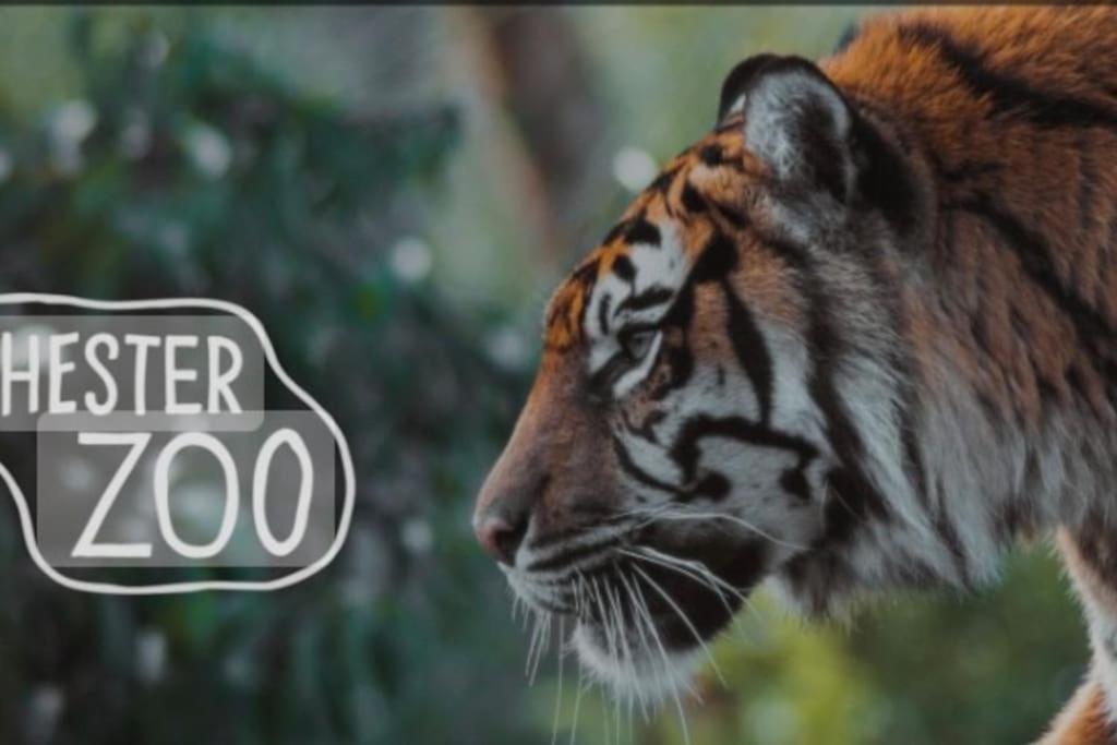 The Beautiful Bungalow Amazing Location For Chester & Zoo Wervin Экстерьер фото